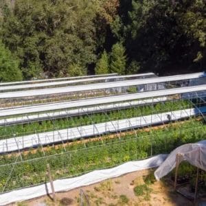 Copy-of-website-Drone-pic-of-Sol-Spirit-Farm-2-b57aa800