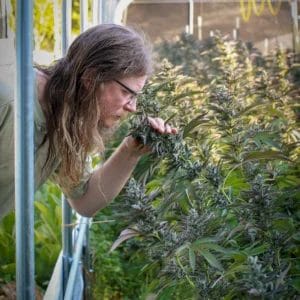 Copy-of-website-Walter-Observing-Flowers-5f08088c