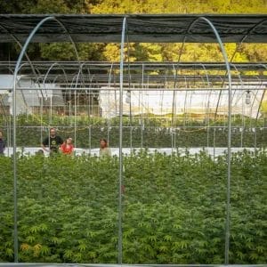 Copy-of-website-farm-tour-2-5ea408b2