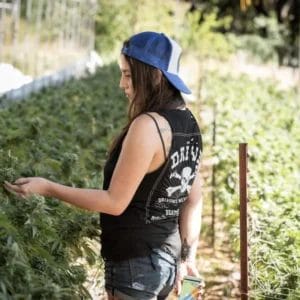 Copy-of-website-farm-tour-Girl-assessing-cultivar-1-scaled-5f23b696