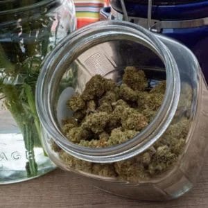 Copy-of-website-jar-of-flowers-3-scaled-0d344f1c