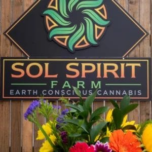 Copy-of-website-sign-with-flowers-518c5d1c