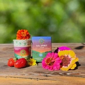 Cruising-on-wood-with-flowers-and-different-backgrounds-2-1-e817f750