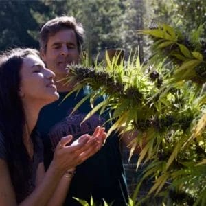 Emerald-Triangle-Revealed-Tour-Hero-Pic-4-74f9ad7e