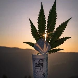 04-17-2021-2-9b015a1d