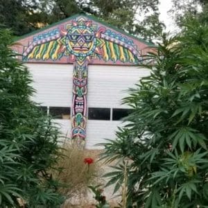 Barn-mural-at-five-sisters-5ec43f48